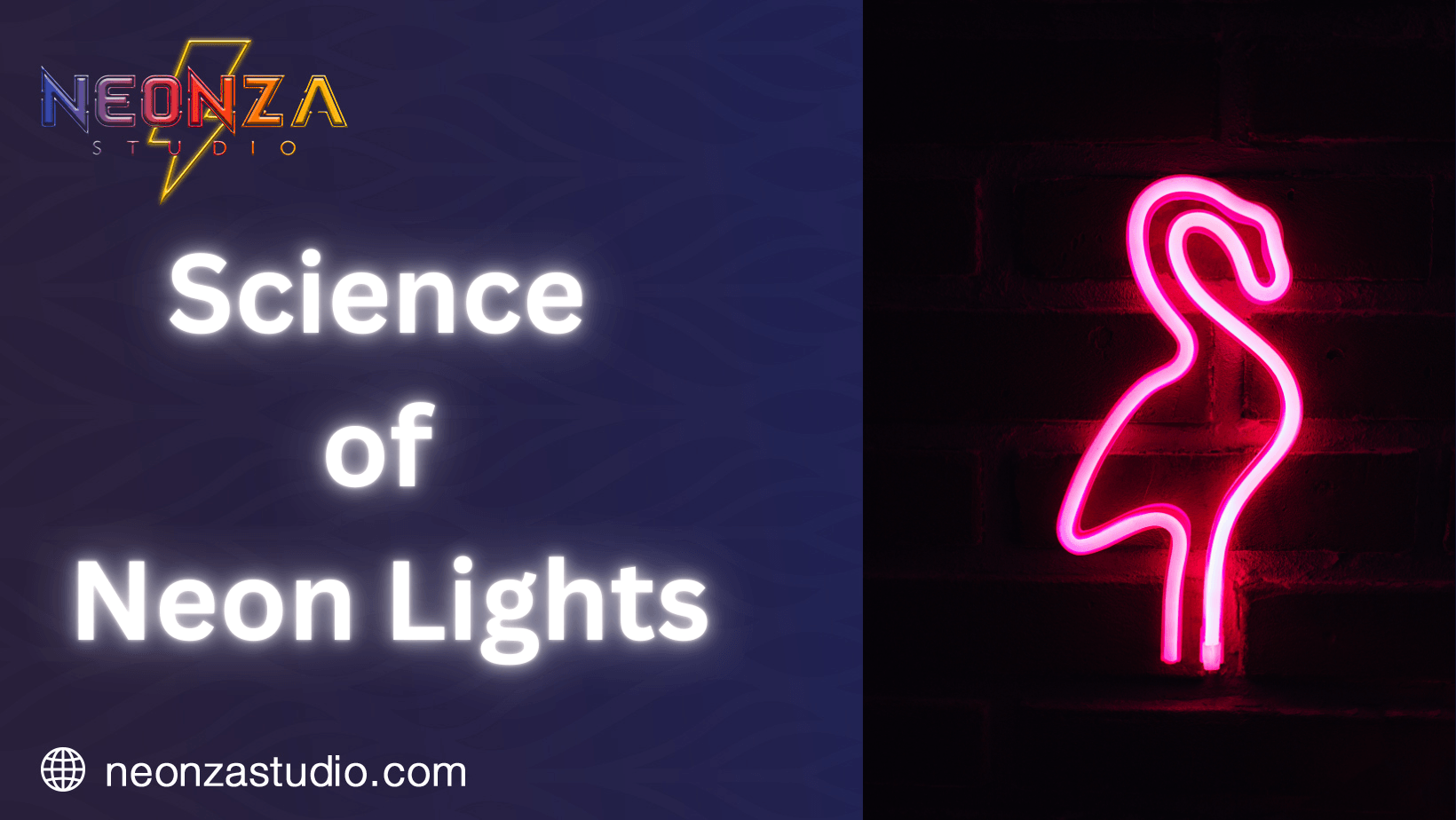 Science of Neon Lights – Neonzastudio