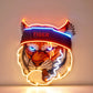 Tiger Smoking LED Neon Sign Light Pop Art